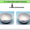 PORCELAIN WARE Evaporating Basin 109 1 evaporating_basin_109_1